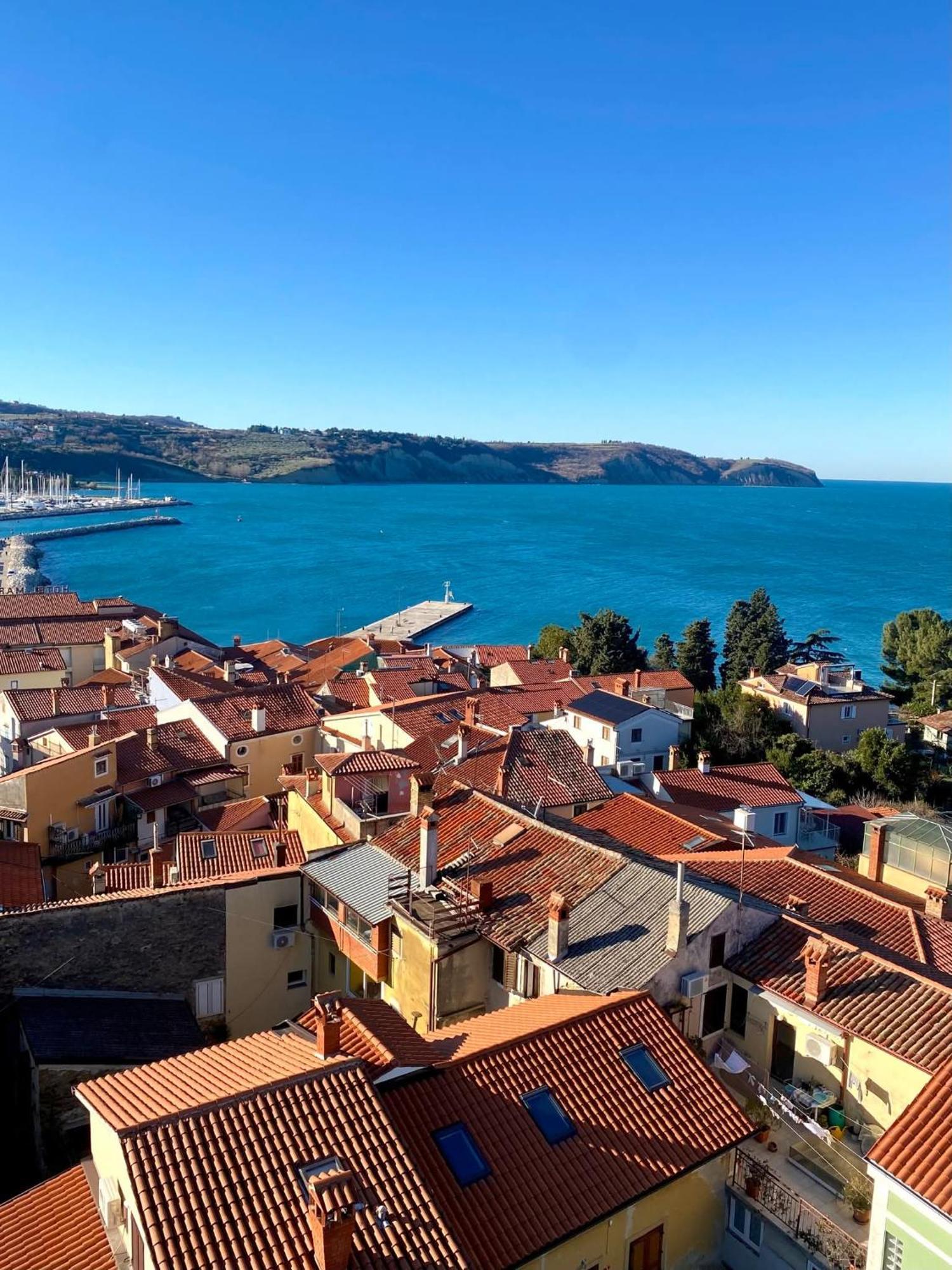 Apartma Rea Izola, Pergola & Terassa, Parking Chambre photo